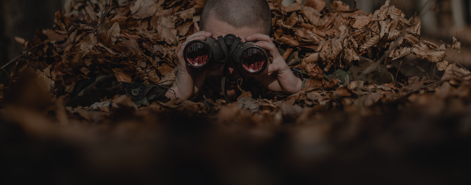 Hunting Campaigns